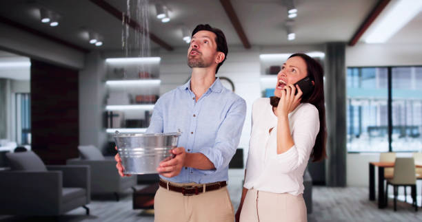 Best Water damage restoration experts  in USA